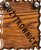 U�ytkownicy