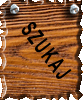 Szukaj